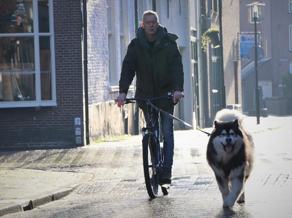 Kostka Mushing, nu € 100,- korting. OP=OP. Step met je hond., Fietsen en Brommers, Steps, Ophalen of Verzenden, Nieuw, Kickbike
