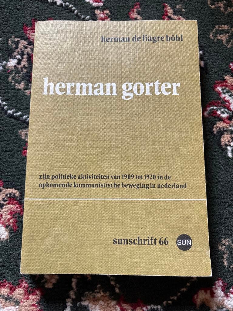 Herman Gorter - Politieke Activiteiten 1909-1920, Ophalen of Verzenden, Gelezen, Politiek