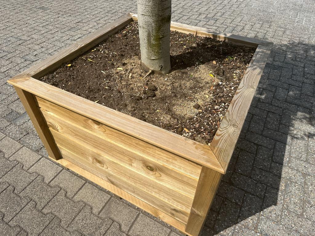Olijfboom compleet in houten bloembak/boombak te koop!!!, Tuin en Terras, Planten | Bomen, Ophalen of Verzenden, Olijfboom, 250 tot 400 cm