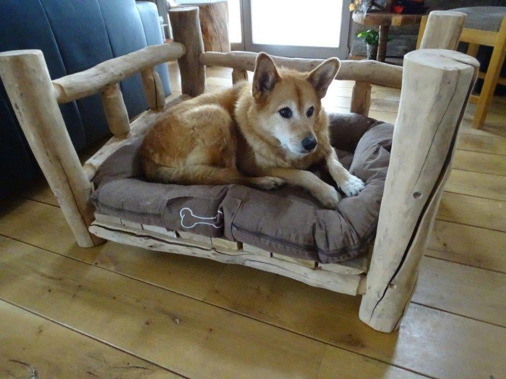 boomstam bed honden bed, Dieren en Toebehoren, Hondenmanden, Nieuw, Overige, Ophalen