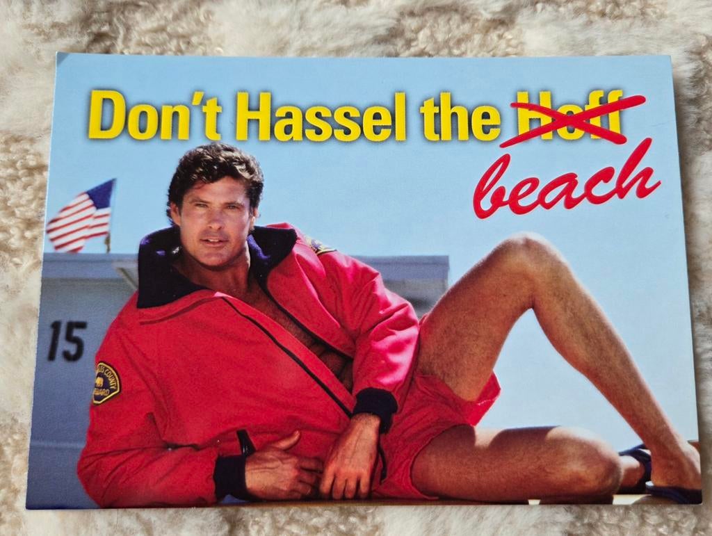 David Hasselhoff, Verzenden, 1980 tot heden, Ongelopen, Sterren en Beroemdheden