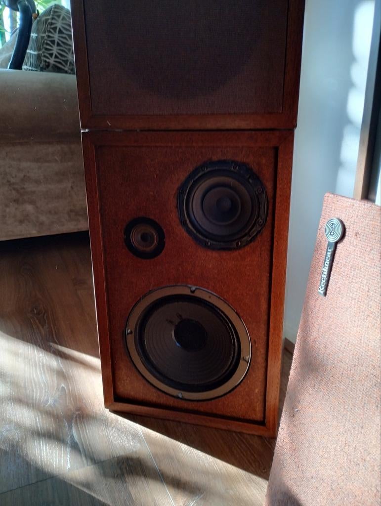 Vintage set Rectilinear Mini III speakers, Ophalen