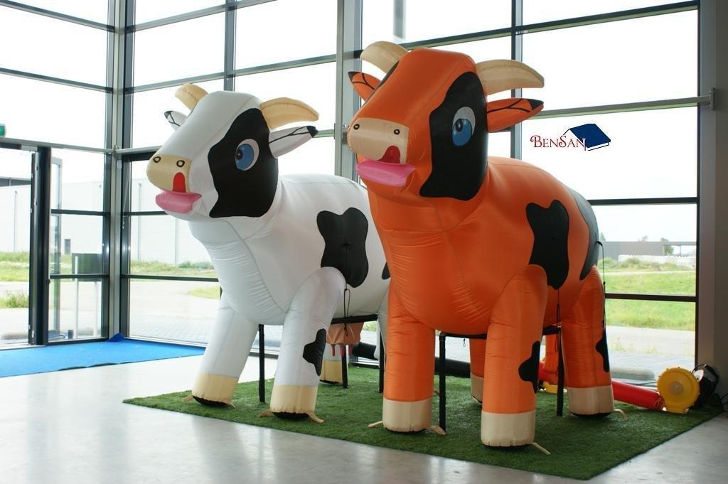 Ranja koe huren kinder feest feesten partijen bensan enter, Ophalen, Zo goed als nieuw, Overige
