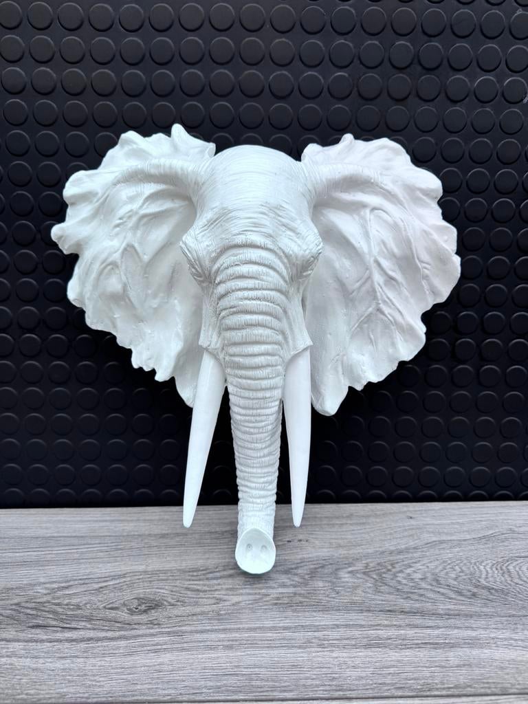 olifant wanddecoratie, Ophalen, Woondecoratie eindhoven, Nieuw, Woondecoratie eindhoven