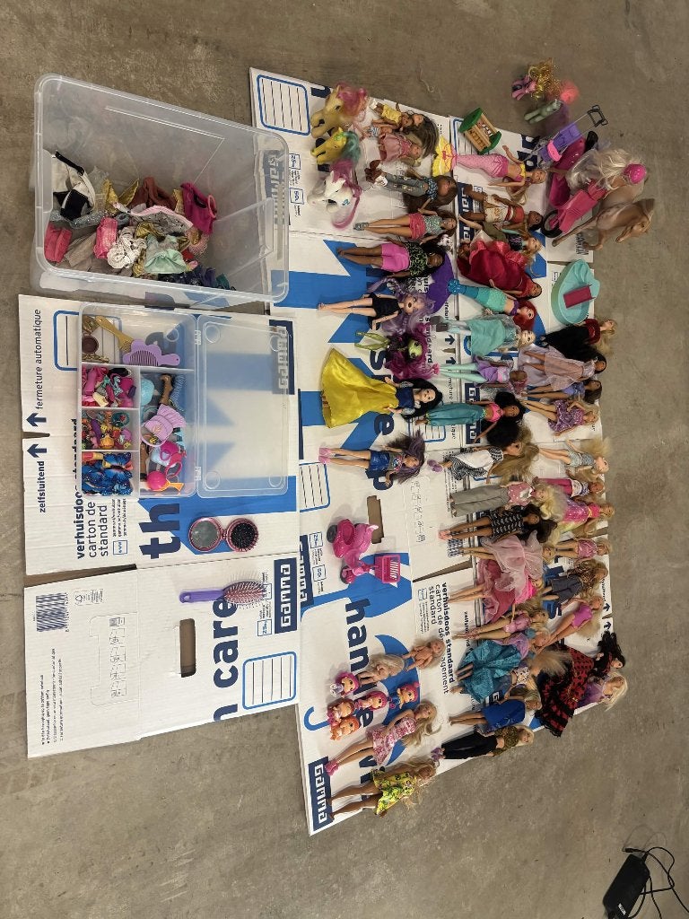 Grote partij Barbie's & poppen – compleet met accessoires, Ophalen, Gebruikt, Barbie