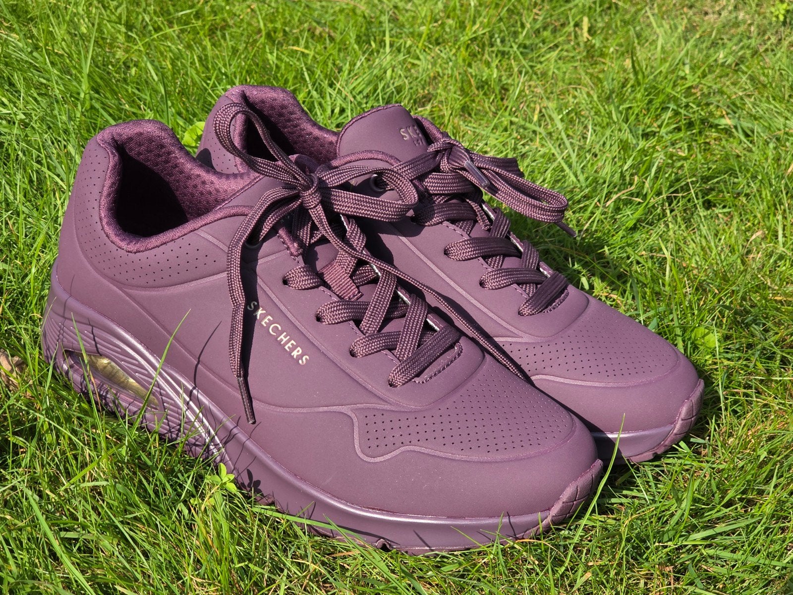 NIEUW! Skechers sneakers maat 39 aubergine, Kleding | Dames, Skechers, Overige kleuren, Nieuw, Ophalen of Verzenden
