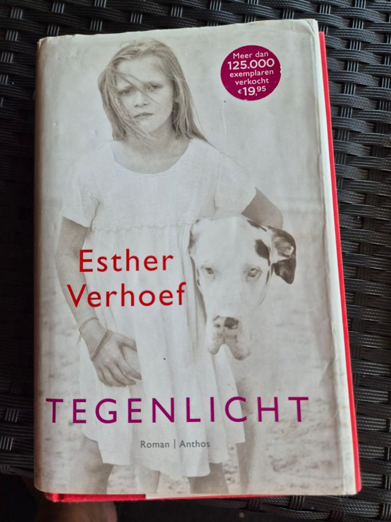 Tegenlicht - Esther Verhoef (Roman), Ophalen, Gelezen, Esther Verhoef