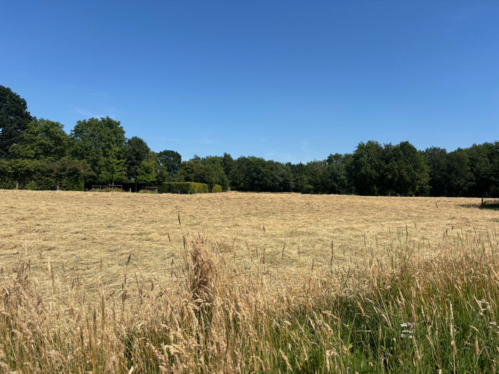 10 rondbalen super mooi Kruidenhooi, Dieren en Toebehoren, Stalling en Weidegang, Toebehoren
