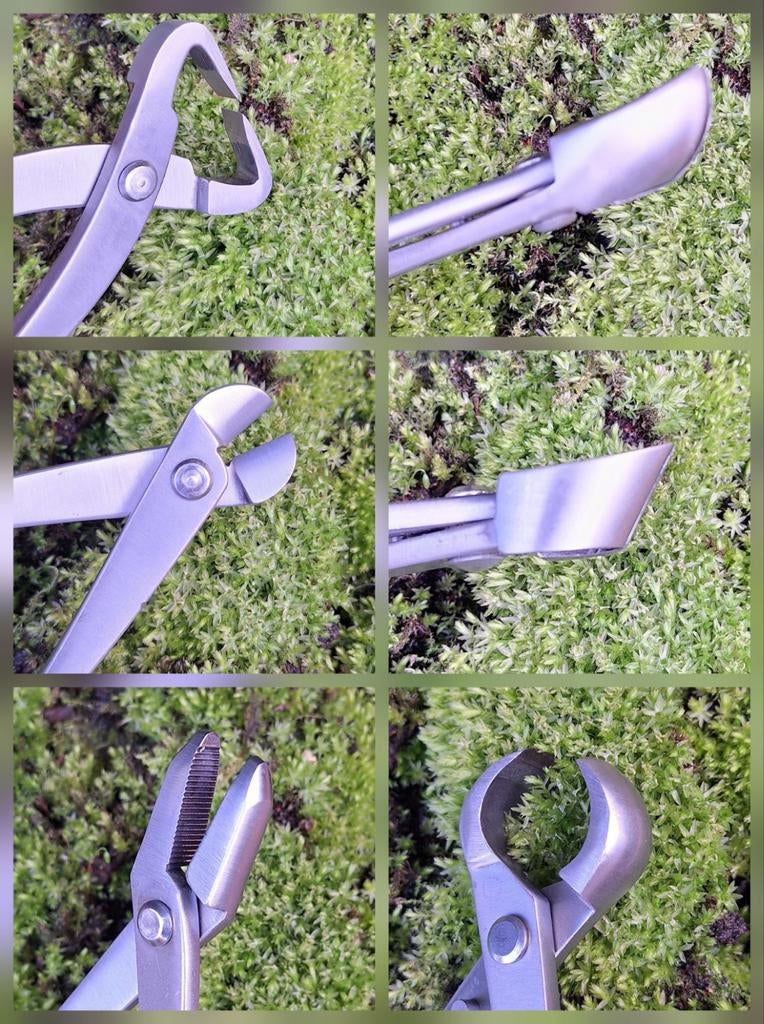 6x RVS verschillende bonsaitangen, Tuin en Terras, Hand-tuingereedschap, Ophalen of Verzenden, Nieuw