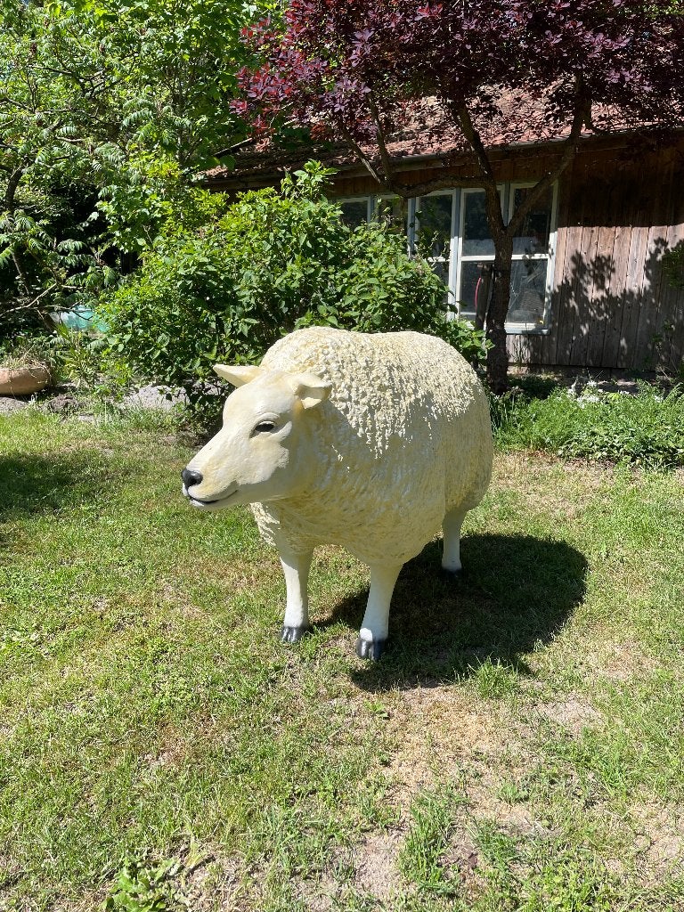 (tuin)beeld Texel schaap, gazon, tuin, boerderij 100cm, Tuin en Terras, Tuinbeelden, Ophalen, Nieuw, Kunststof, Dierenbeeld