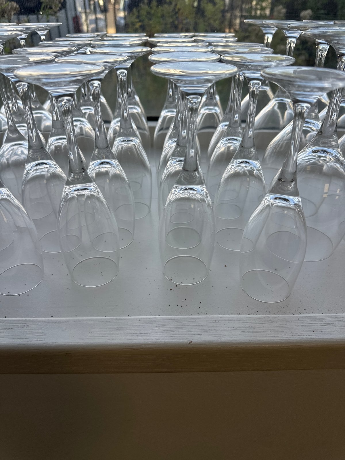 Set van 24 Wijn- of Champagneglazen Schott Zwiesel, Ophalen, Zo goed als nieuw, Wit, Glas
