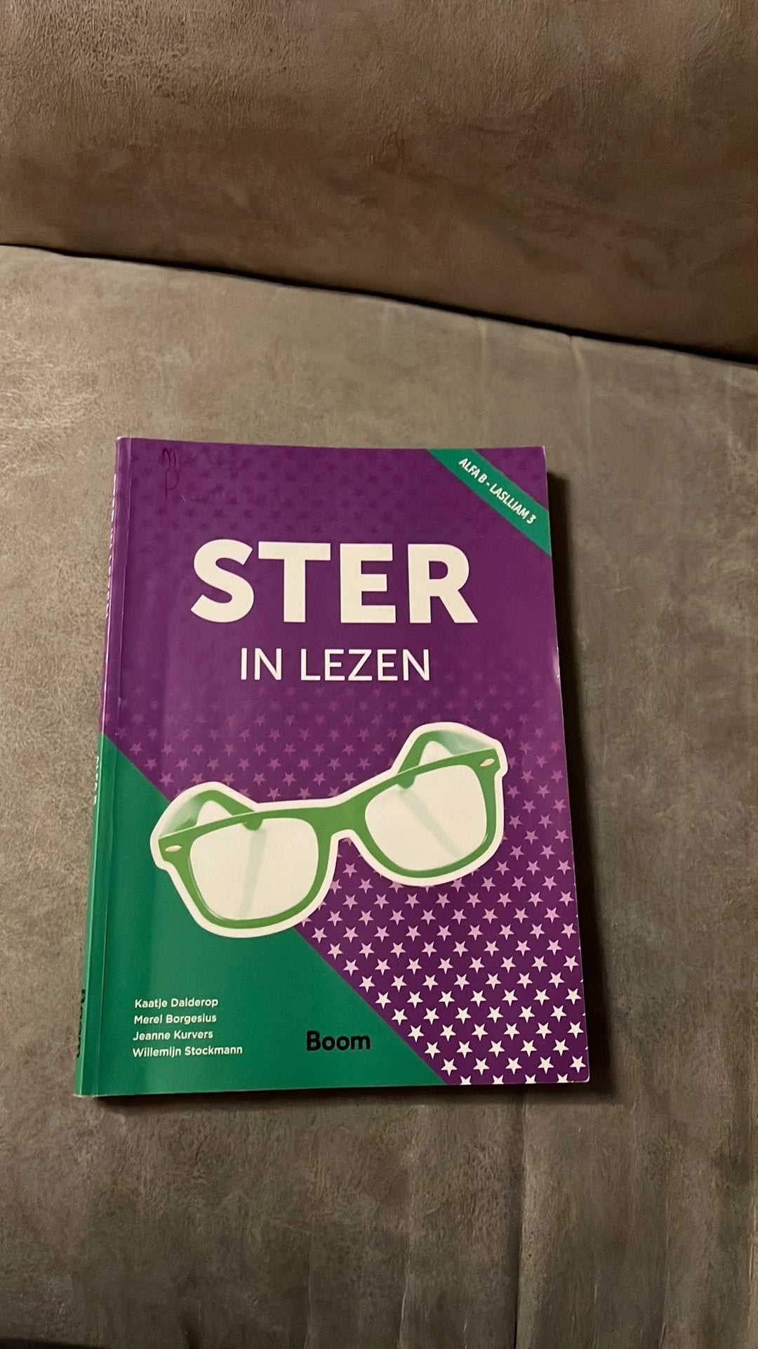 Ster in lezen - Alfa B - NT2 boek, Ophalen of Verzenden, Zo goed als nieuw, Van Dale
