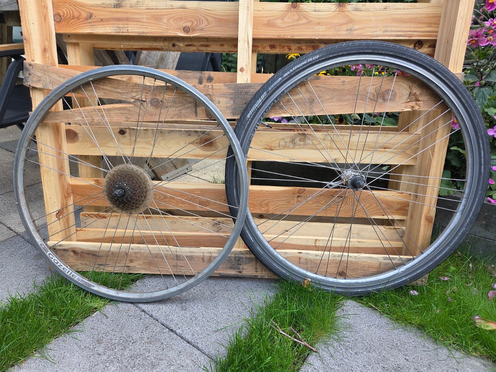 Gazelle 29 " voor en achterwiel Acrobats Fietswiel met Casse, Gebruikt, Stadsfiets, Aluminium, Gazelle