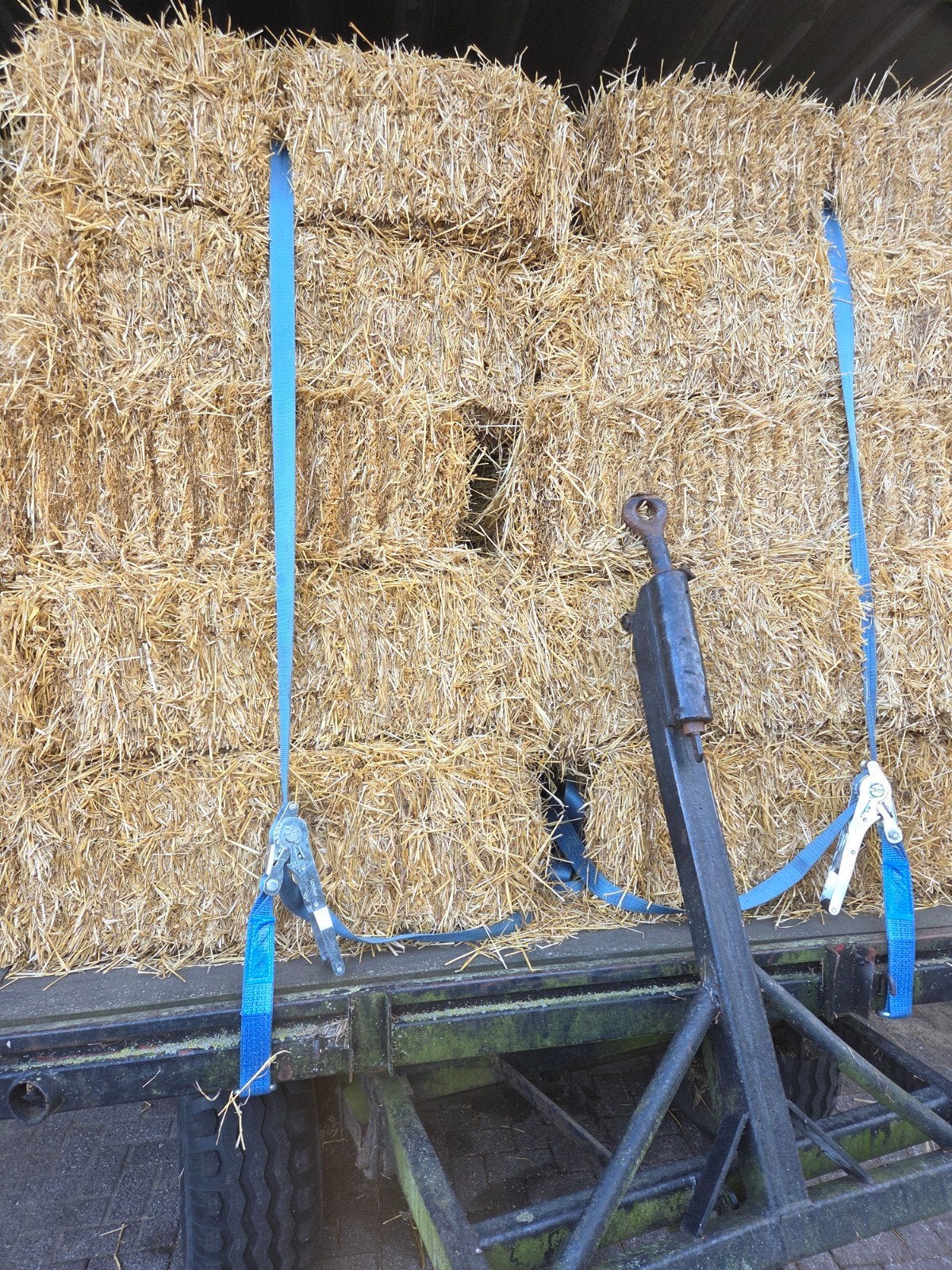 Gerste stro balen, Dieren en Toebehoren, Dierenvoeding, Ophalen of Verzenden, Vee