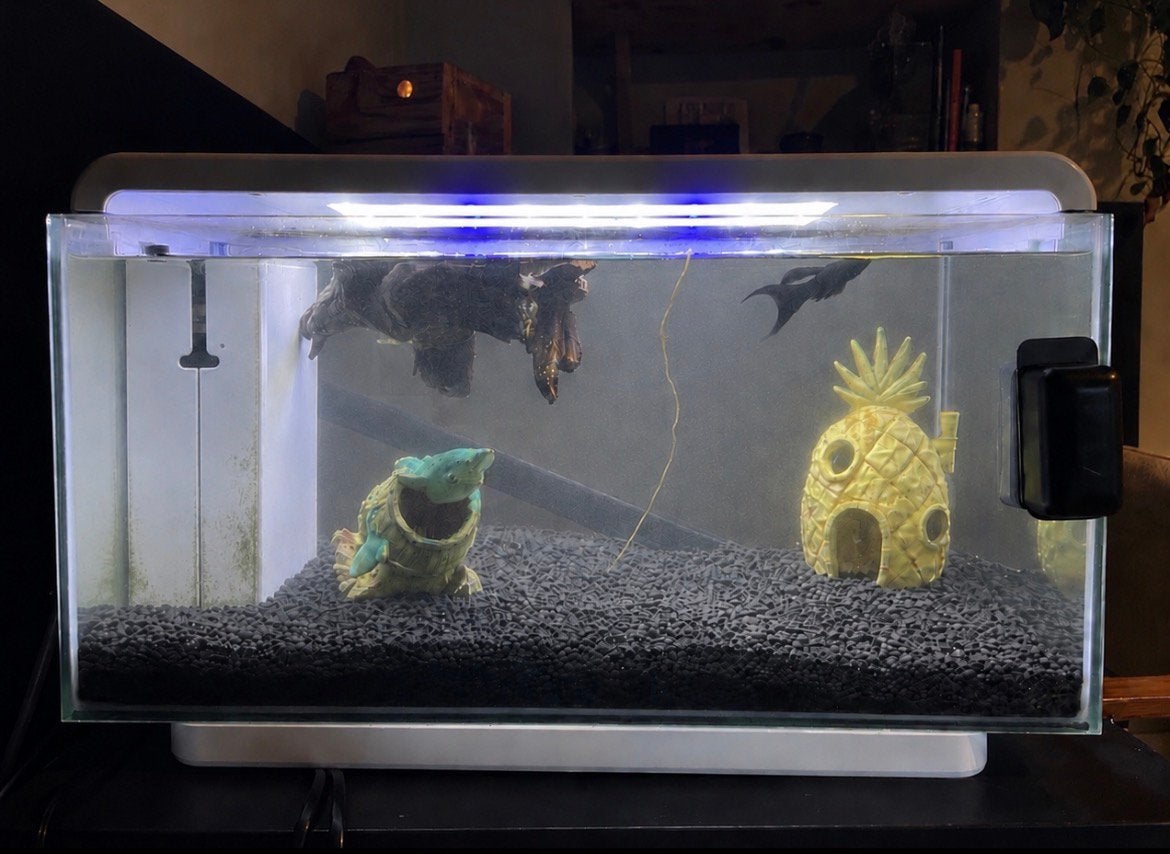 Aquarium met toebehoren, Gebruikt, Ophalen of Verzenden, Leeg aquarium, Superfish