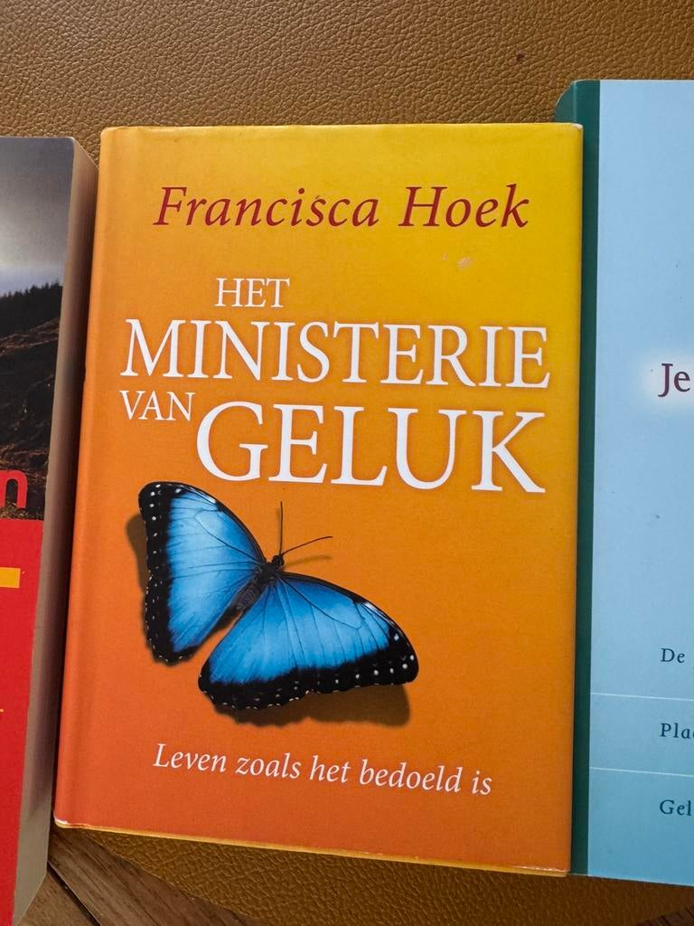 Het ministerie van geluk, Boeken, Ophalen of Verzenden, Zo goed als nieuw