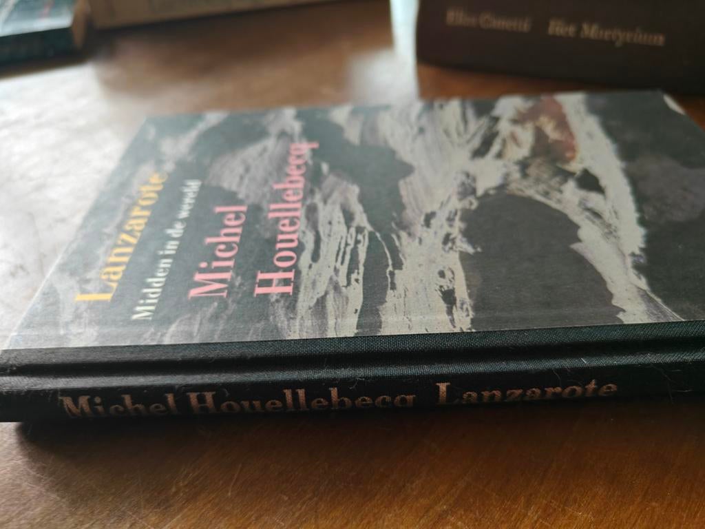 Lanzarote - Michel Houellebecq, Ophalen of Verzenden