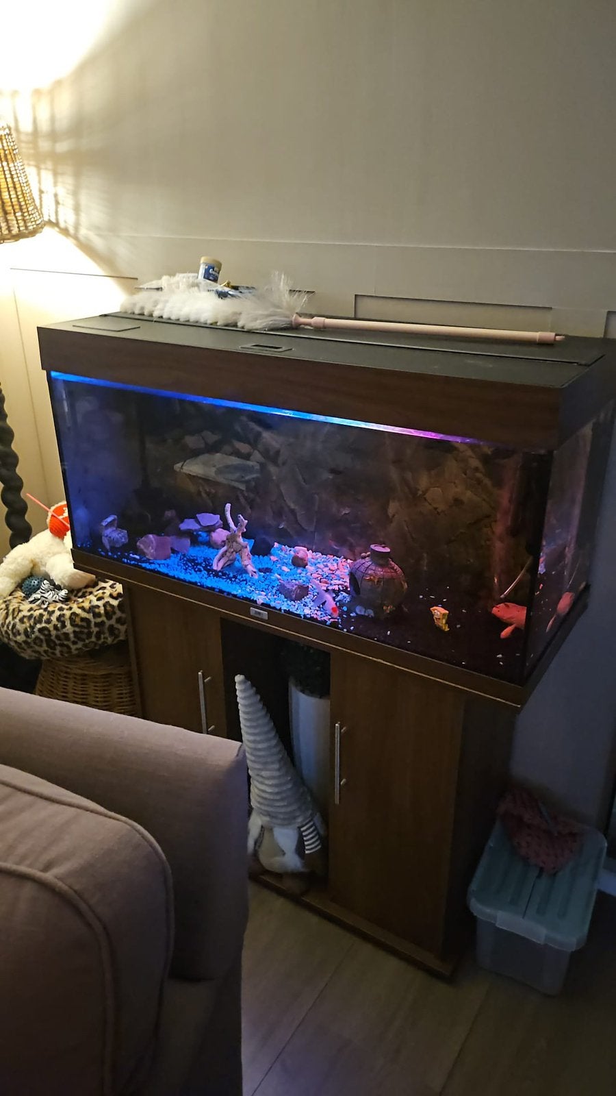 aquarium 1.20 40 diep 60 hoog, Ophalen, Zo goed als nieuw, Leeg aquarium