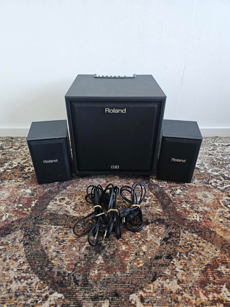 Roland CM-220 Cube Monitor | Speaker | Drumstel | Keyboard, Ophalen, Monitor(versterker), Roland, Minder dan 500 watt