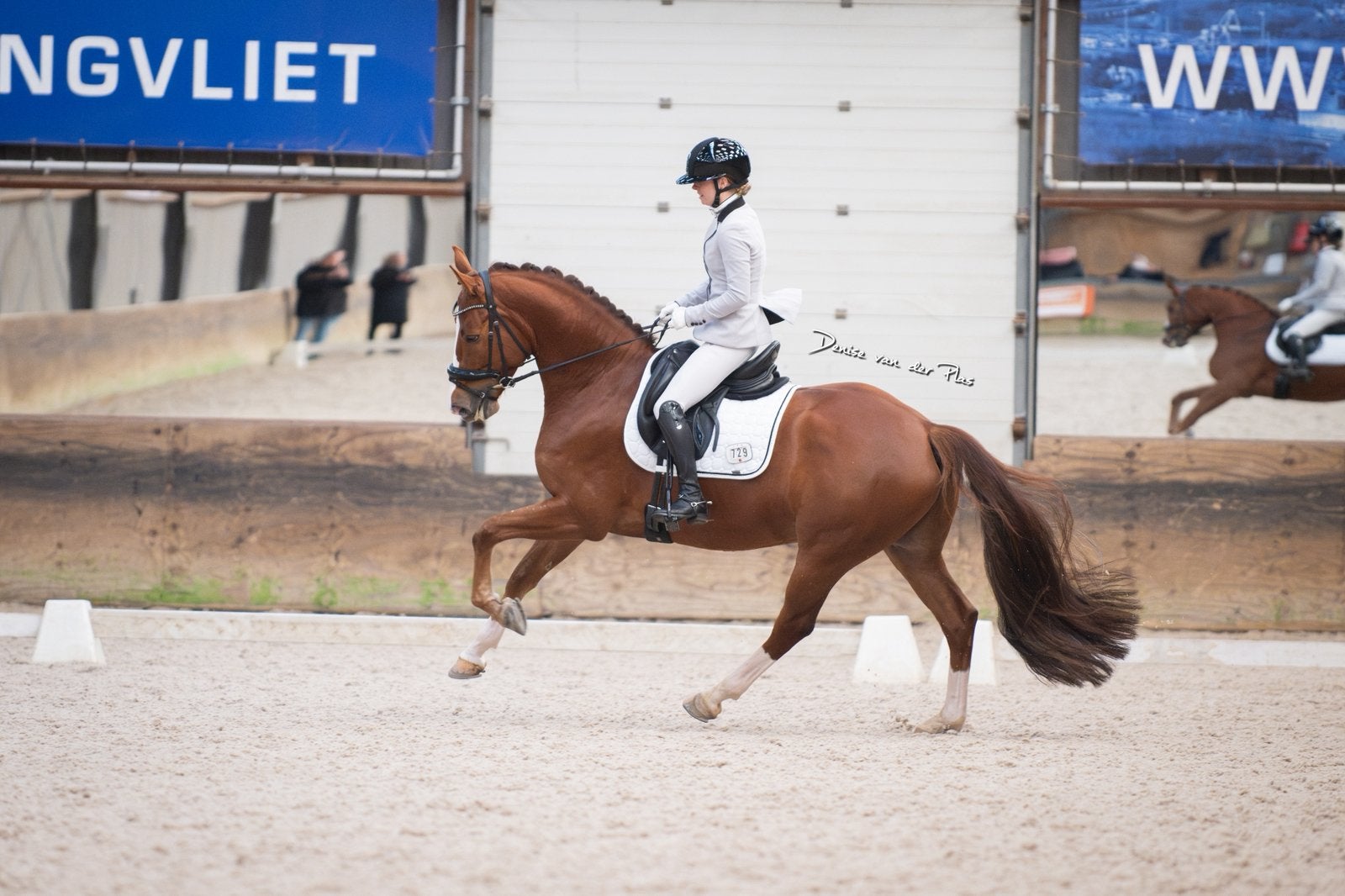 Instructie, Diensten en Vakmensen, Dieren | Paarden | Verzorging, Oppas en Les, Paardrijles of Ponykampen