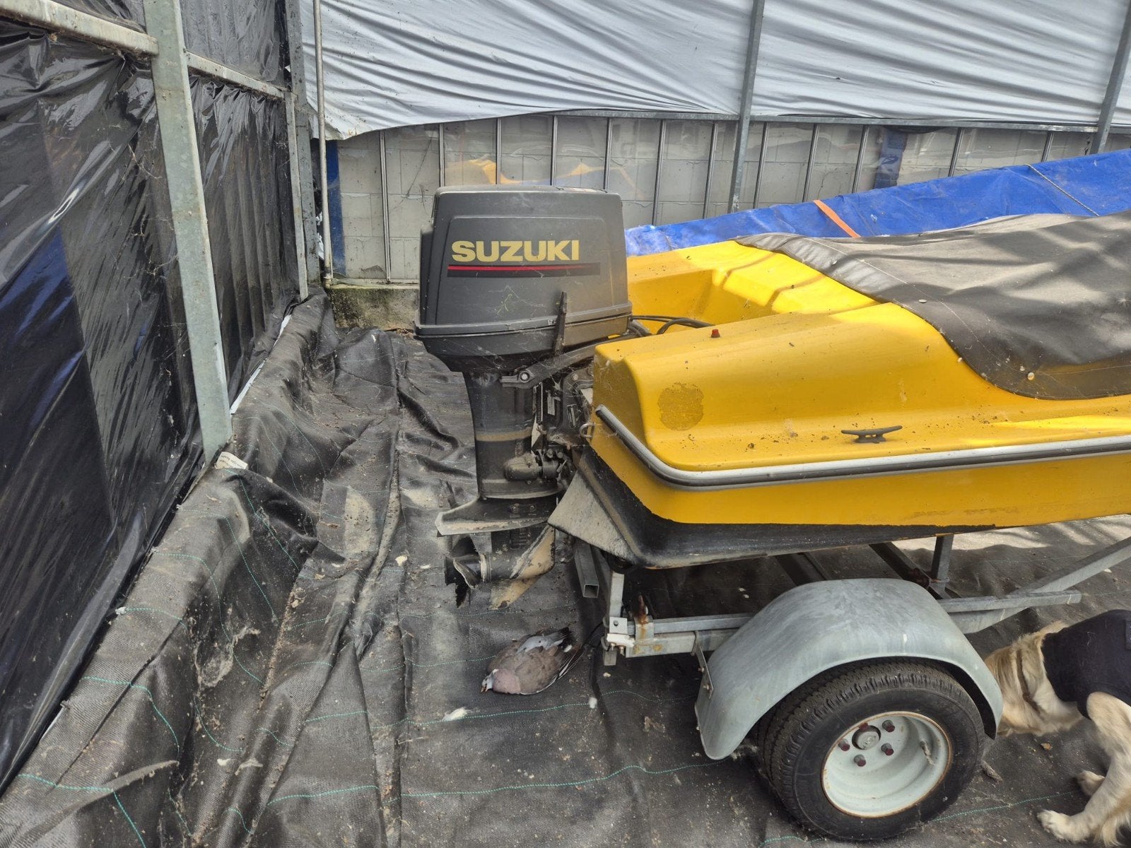 Freefire boot met Suzuki 30 PK buitenboordmotor, Watersport en Boten, Overige merken, Gebruikt, Viertaktmotor, Ophalen of Verzenden