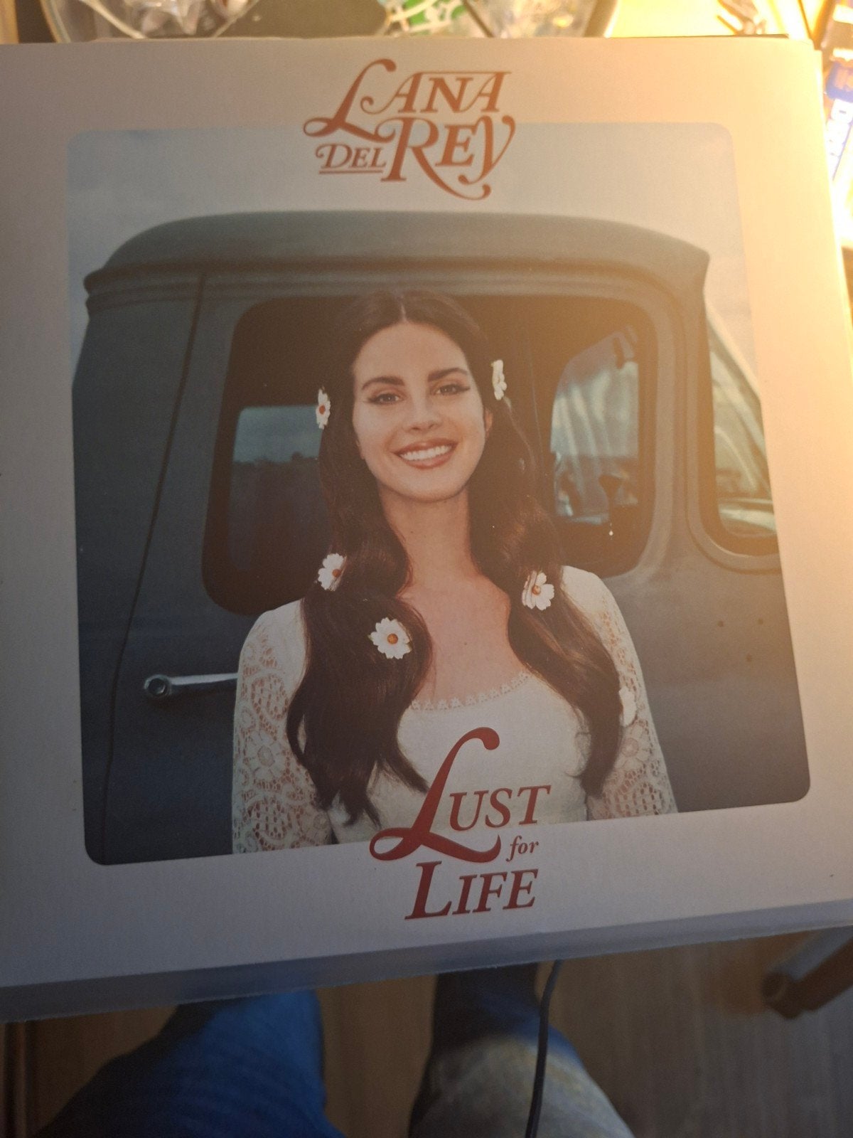 Lana Del Rey - Lust for Life Dubbel LP Vinyl, Cd's en Dvd's, 2010 - 2019, Ophalen of Verzenden, Zo goed als nieuw, 12 inch