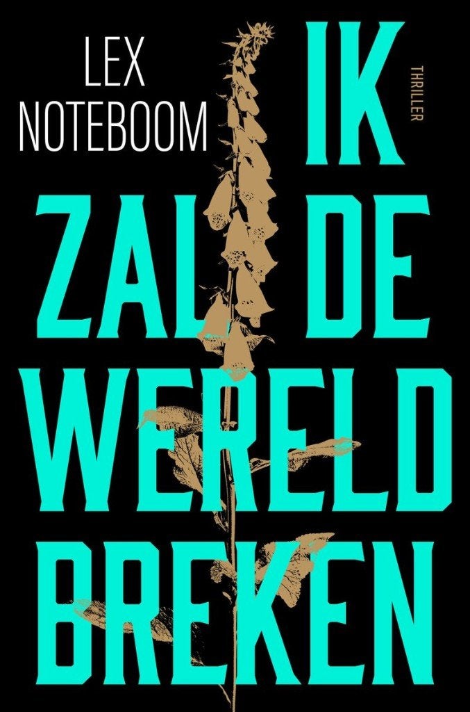 Lex Noteboom - Ik zal de wereld breken, Lex Noteboom, Ophalen of Verzenden, Zo goed als nieuw, Nederland