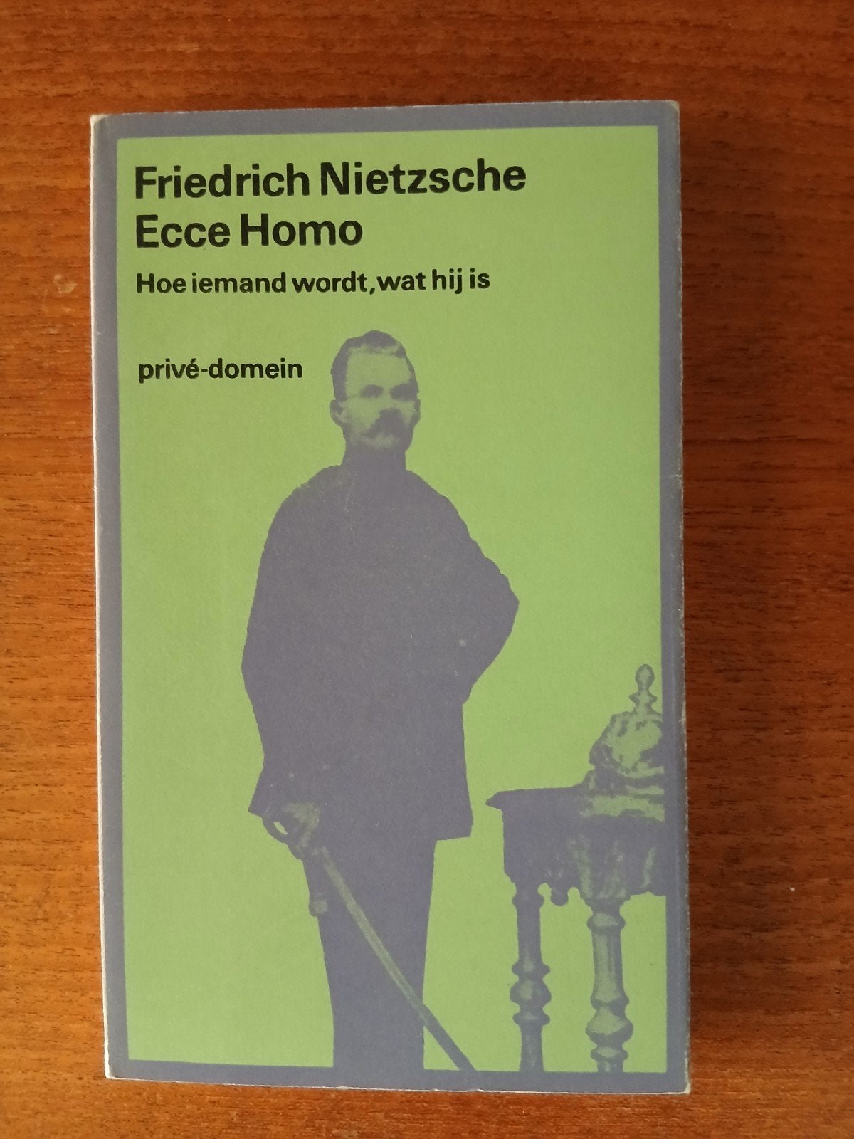 Friedrich Nietzsche - Ecce Homo, Boeken, Ophalen of Verzenden, Gelezen, Friedrich Nietzsche, Europa overig