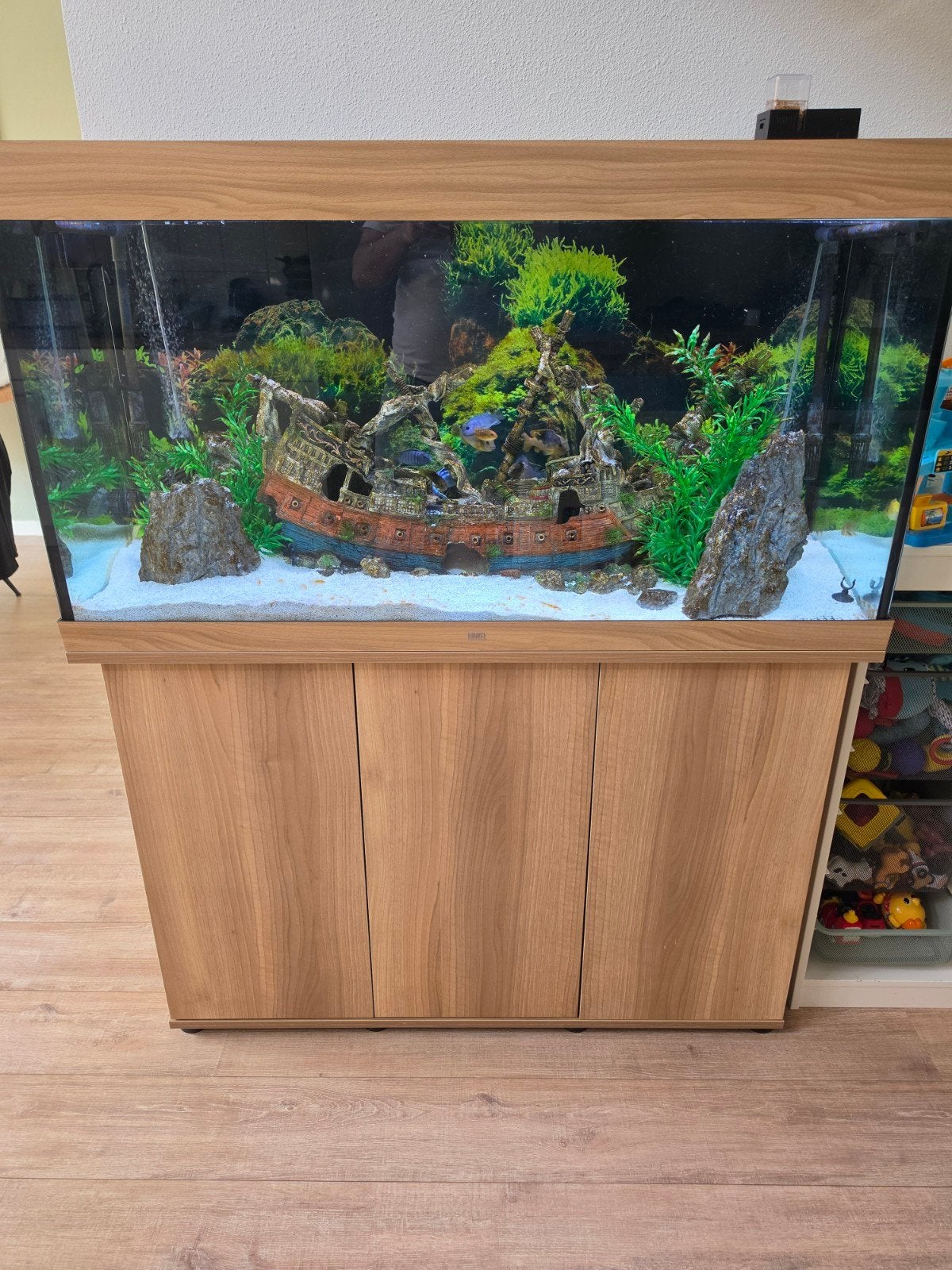 JUWEL Aquarium 121x51x146 compleet nergens op bezuinigd, Gebruikt, Aquariummeubel, Juwel, Ophalen