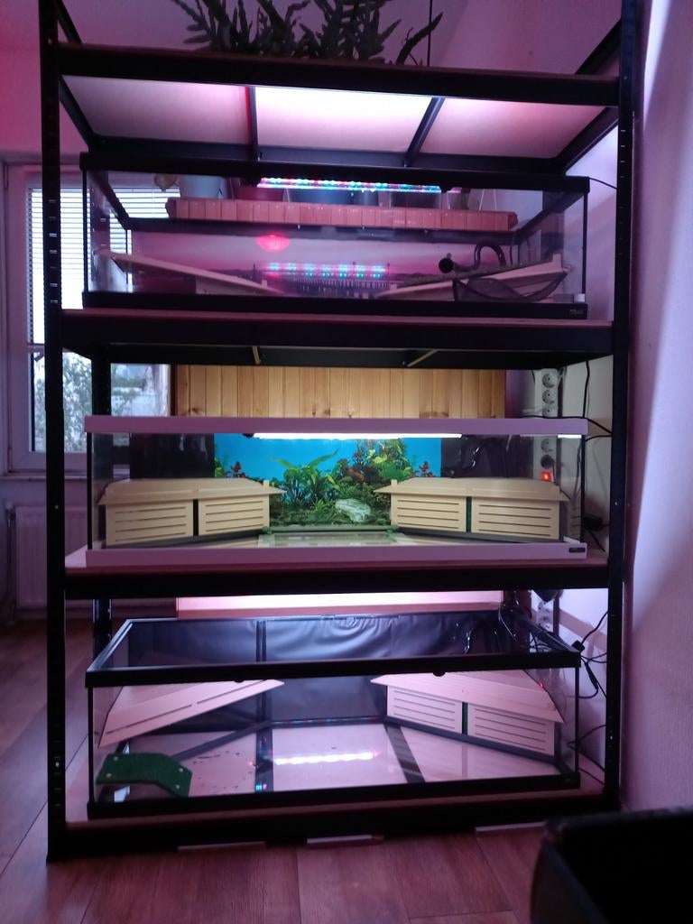 Witte terratlantis/aquarium, Ophalen, Leeg aquarium