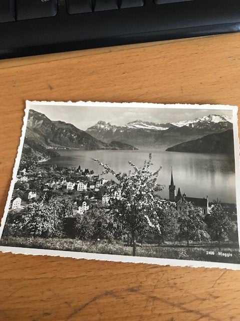 Weggis, Zwitserland, Verzamelen, Ansichtkaarten | Buitenland, Ophalen, Voor 1920, Gelopen, Frankrijk