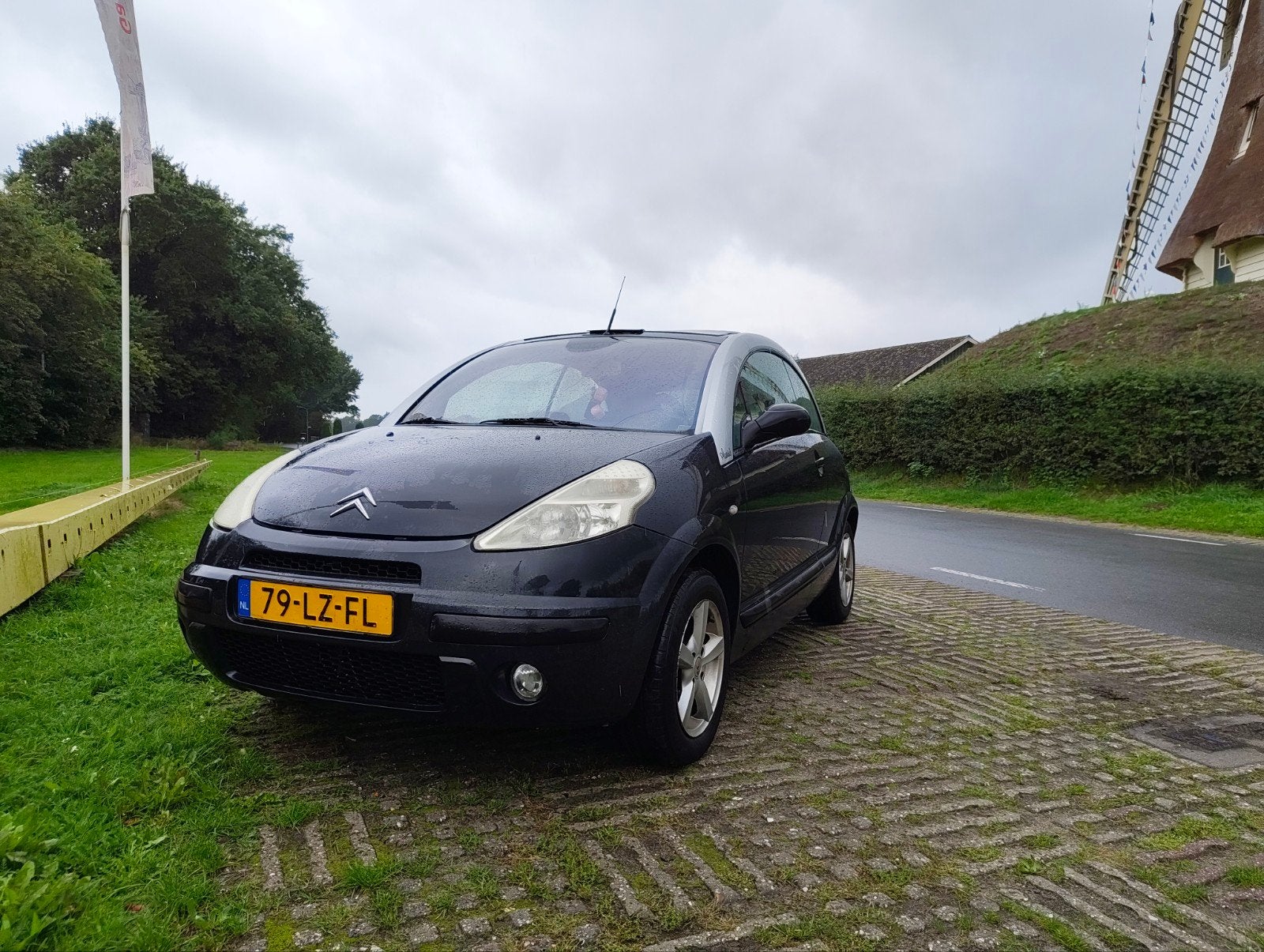 Onderdelen voor een citroen C3 Pluriel - geassembleerd, Ophalen, Gebruikt, Citroën