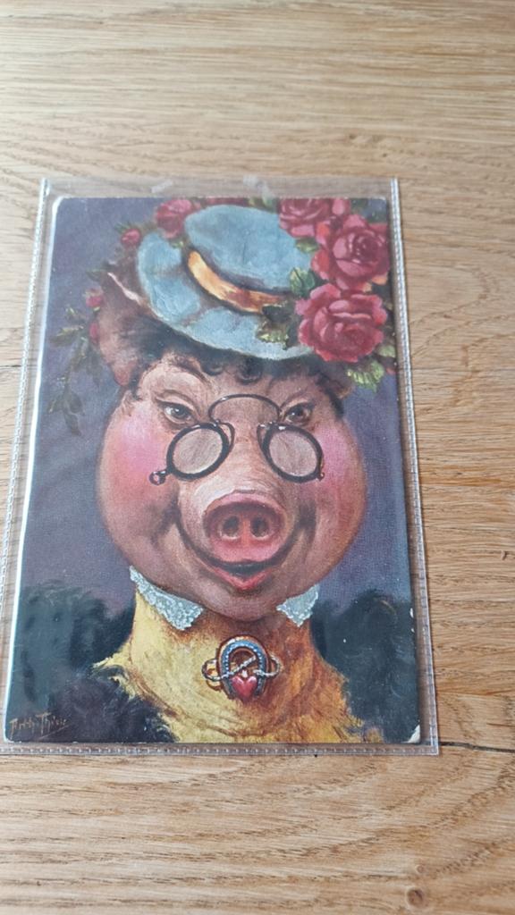 Ansichtkaart Arthur Thiele Victorian Lady Pig TSN serie 789, Ophalen of Verzenden, Voor 1920, Gelopen, Overige thema's