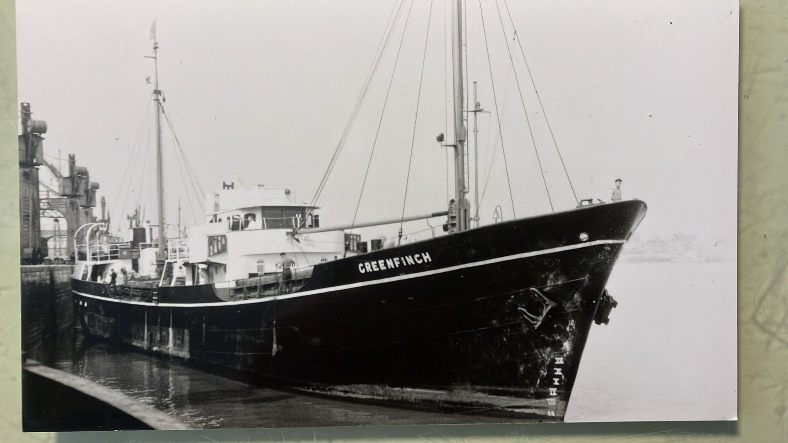 GREENFINCH -  HARLINGEN lijncoaster Gen. Steam Nav., Ophalen of Verzenden, Zo goed als nieuw, Kaart, Foto of Prent