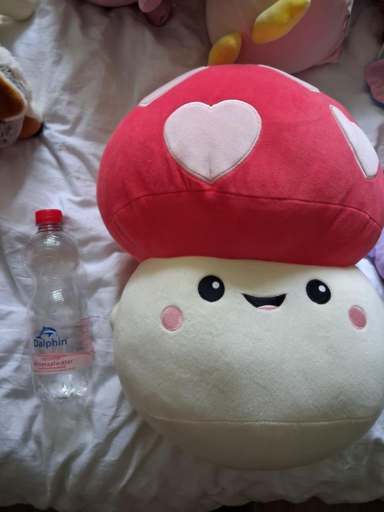 Squishmallow paddenstoel met opwarmzak en diverse knuffels, Ophalen, Zo goed als nieuw, Meerkleurig, Klein (minder dan 20 cm)