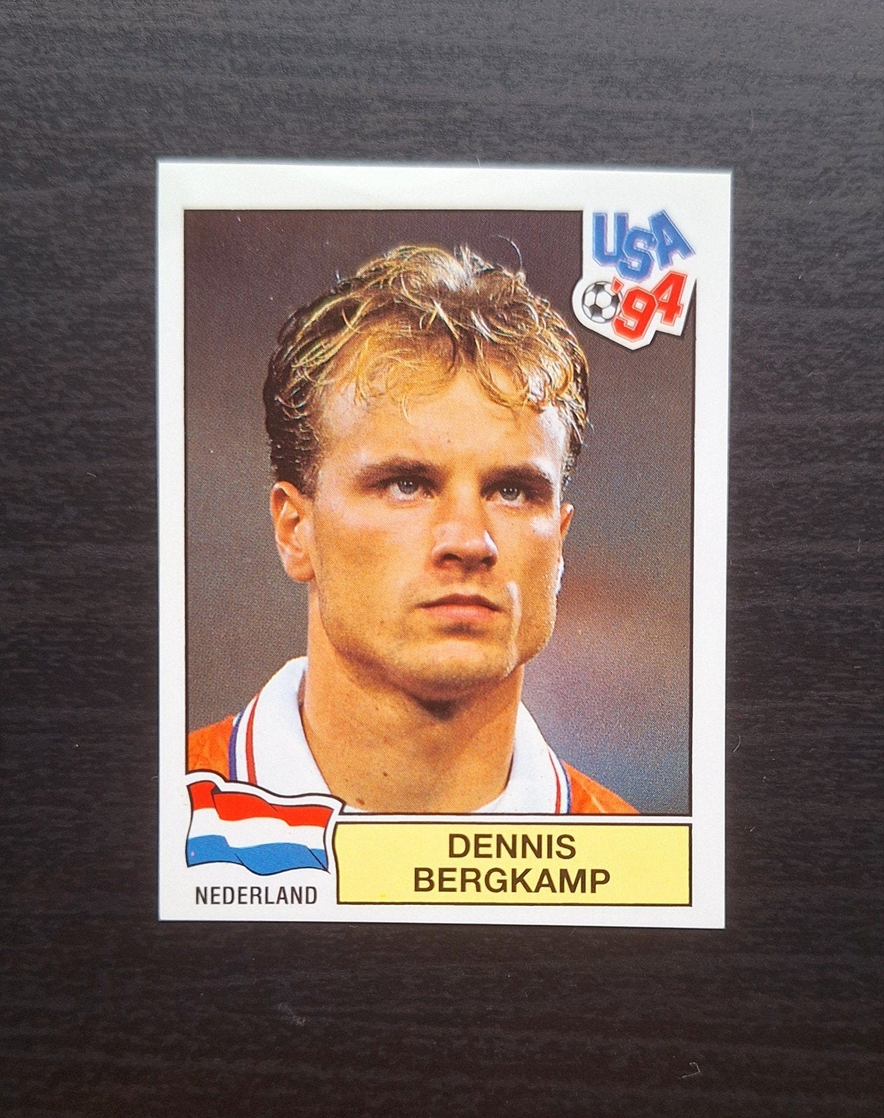 Panini Sticker Bergkamp WK94., Ophalen of Verzenden, Zo goed als nieuw, Buitenlandse clubs, Poster, Plaatje of Sticker