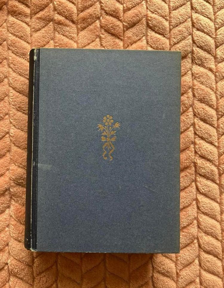 De Heroïeke wijsbegeerte van de Renaissance Dr A.Vloemans, Ophalen of Verzenden, Gelezen, Christendom | Protestants