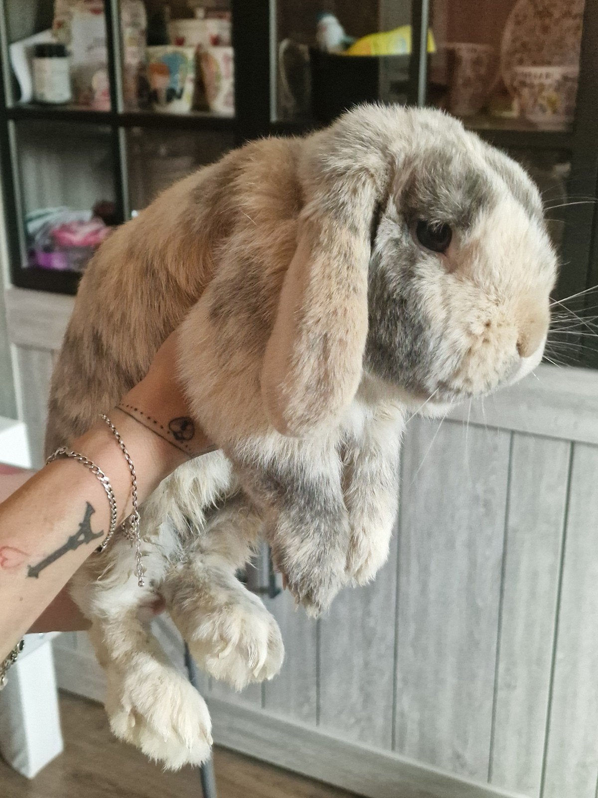 Lief hangoor konijn incl. groot hok + veel accessoires!, Dieren en Toebehoren, Konijnen, Mannelijk, Middelgroot, Hangoor, 3 tot 5 jaar