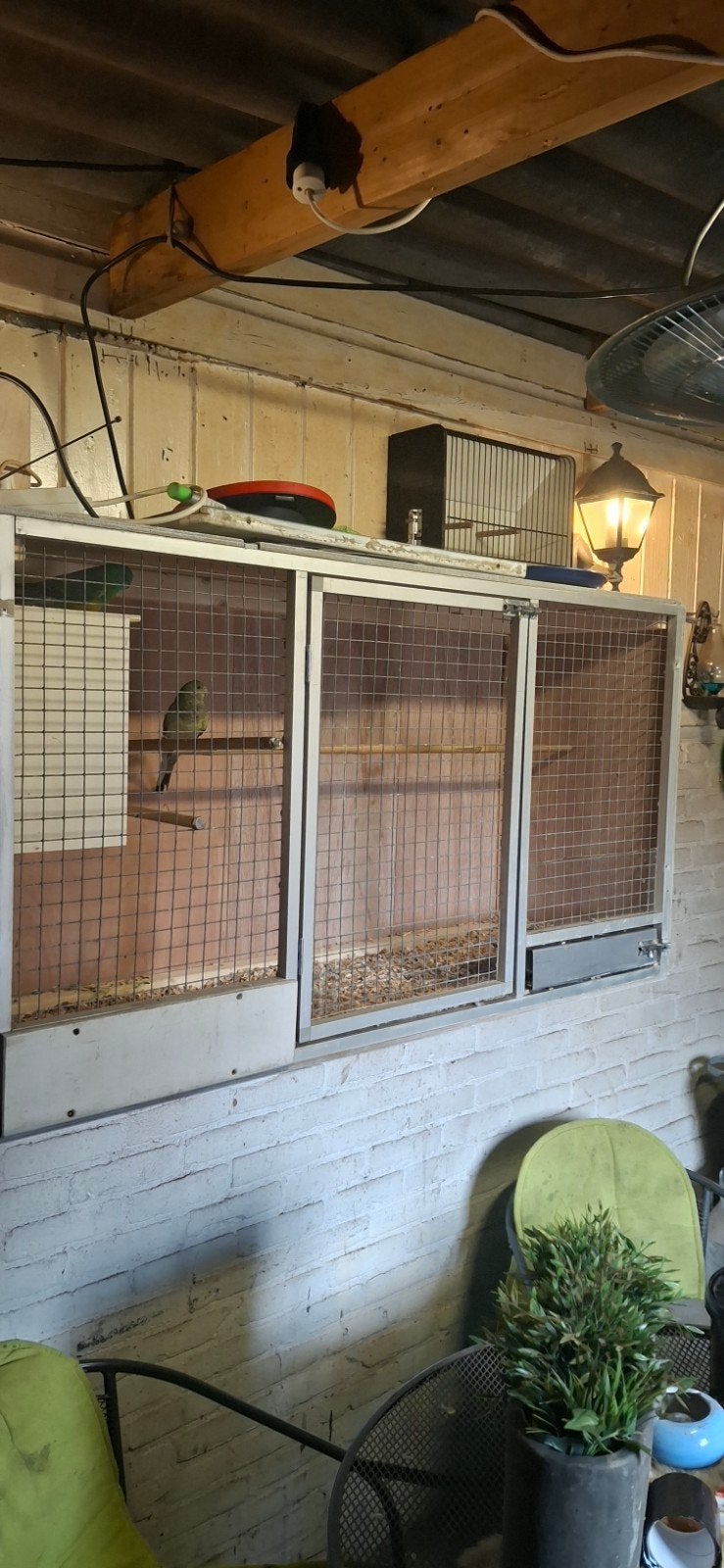 te koop een kweek kooi met koppel roodbuik parkieten, Ophalen, Nieuw, Hout, Vogelkooi