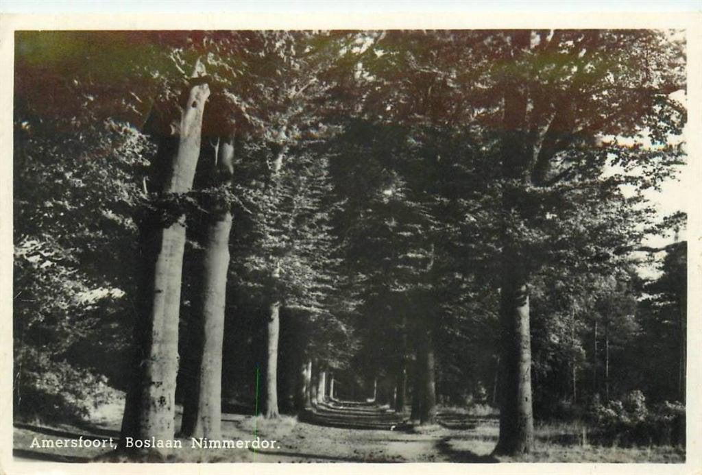 388-234-001 Amersfoort Boslaan Nimmerdor, Verzenden, Voor 1920, Utrecht