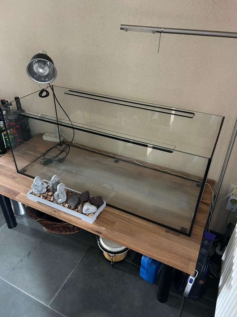 Terrarium te koop, Ophalen, Zo goed als nieuw, Terrarium of Paludarium