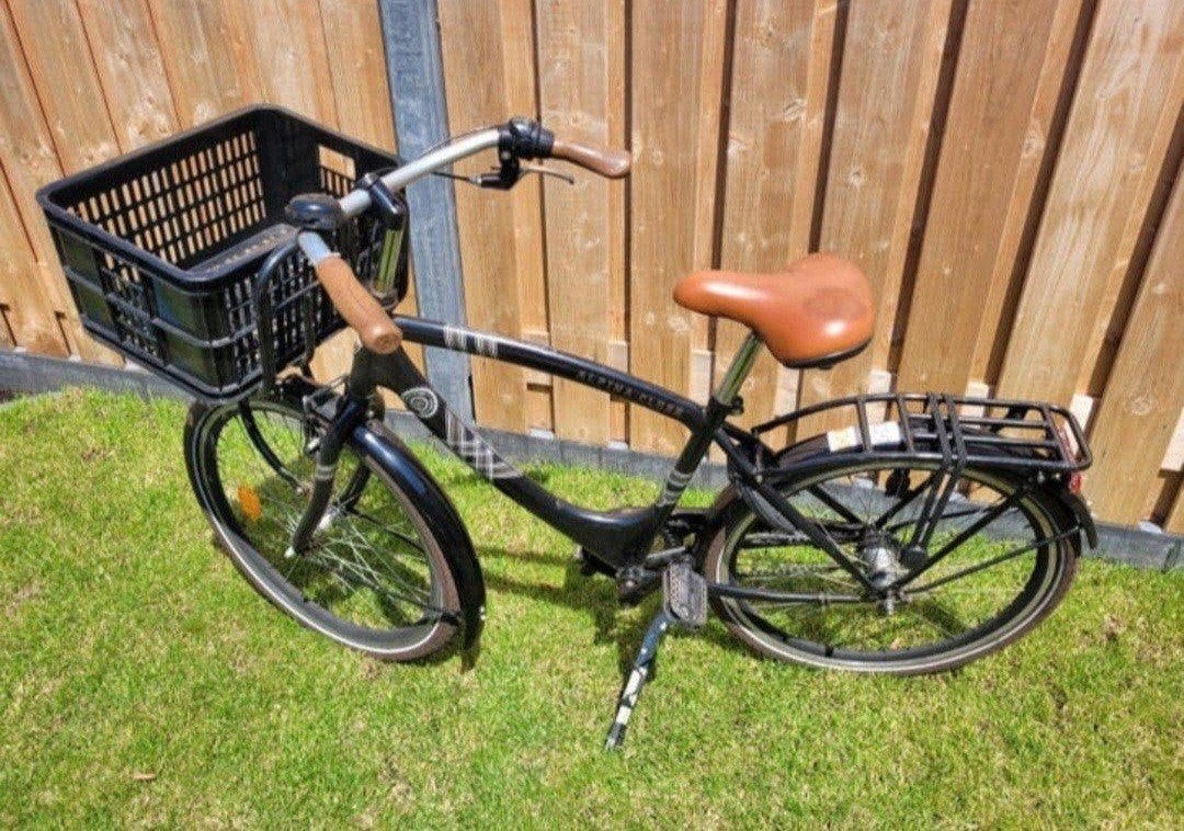Alpina Clubb 24 inch, Fietsen en Brommers, Ophalen, Alpina Clubb, Versnellingen, Gebruikt