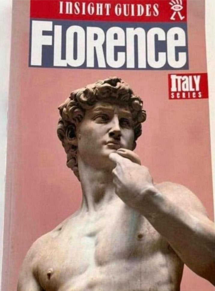 Insight Guides Florence (Engels) - Visuele Reisgids, Ophalen of Verzenden, Gelezen, Reisgids of -boek