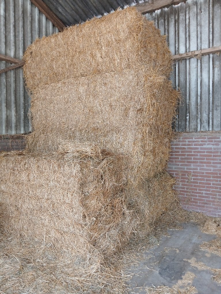 graszaadhooi rietzwenk laag suiker, Dieren en Toebehoren, Ophalen, Vee
