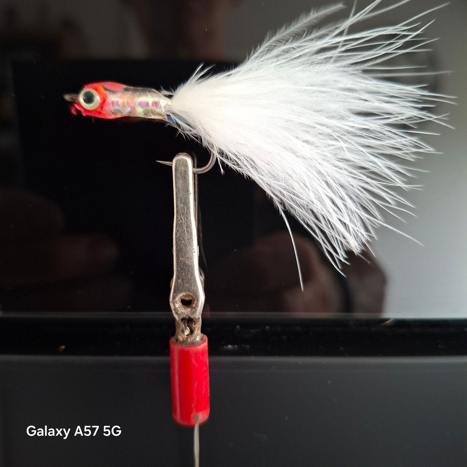 Te koop diverse streamers voor roofvis forel., Ophalen of Verzenden, Nieuw, Overige typen