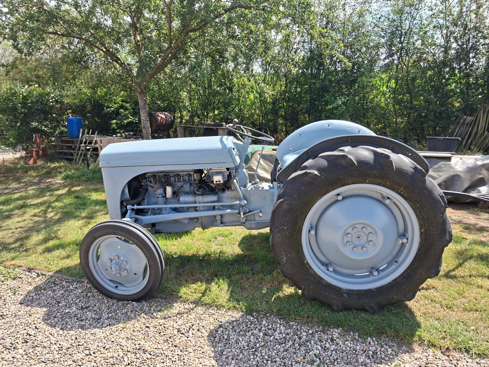 Massey Ferguson TED benzine/petroleum - Klusproject, Ophalen, Oldtimer, Massey Ferguson