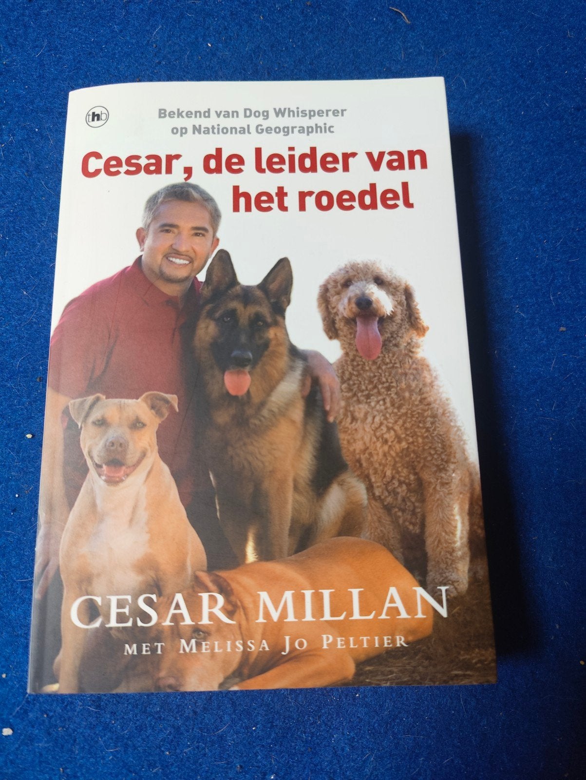 Cesar Millan - Cesar, de leider van het roedel (boek), Ophalen of Verzenden