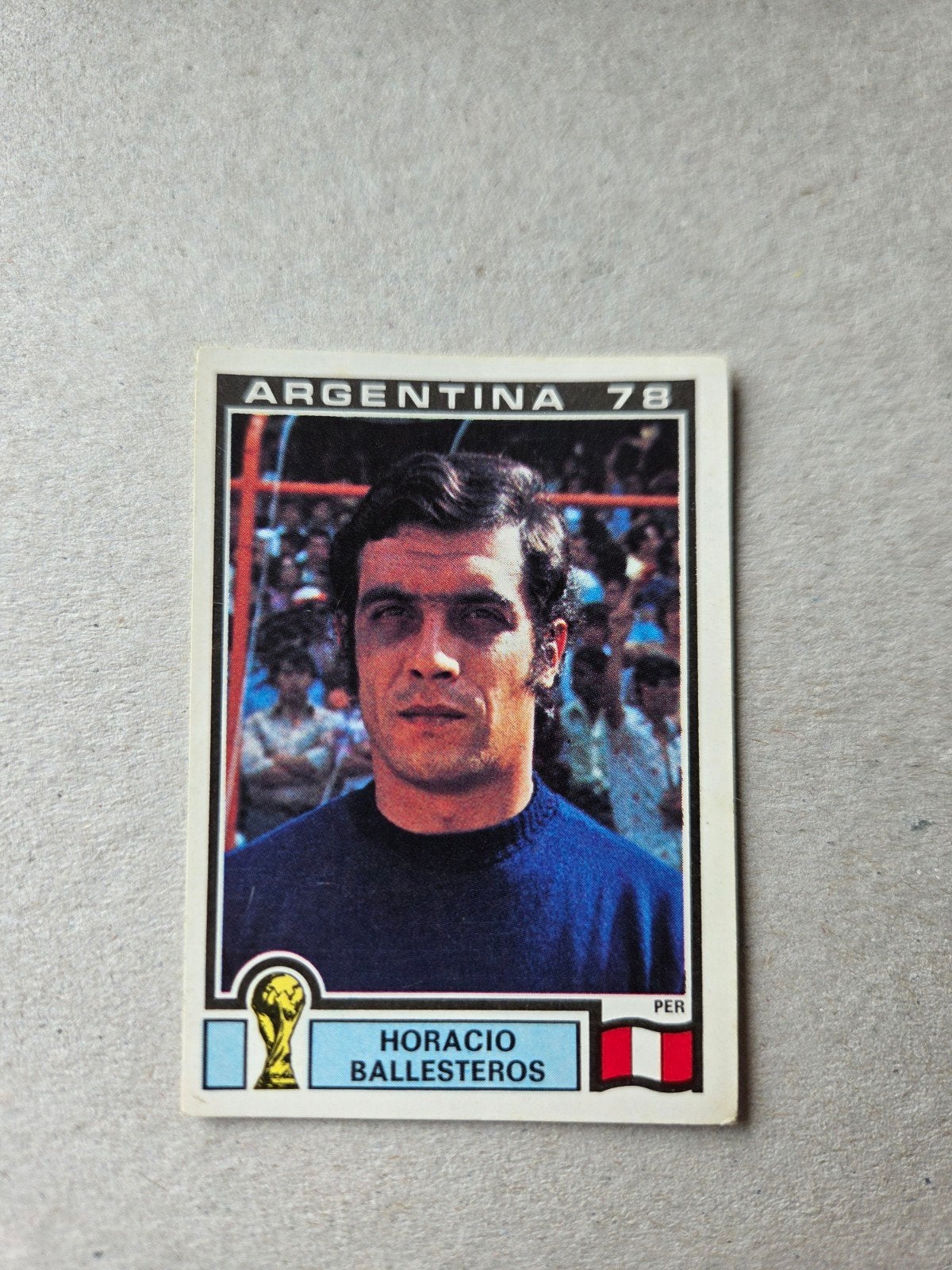Panini WK 78, Ophalen of Verzenden, Zo goed als nieuw, Buitenlandse clubs, Poster, Plaatje of Sticker