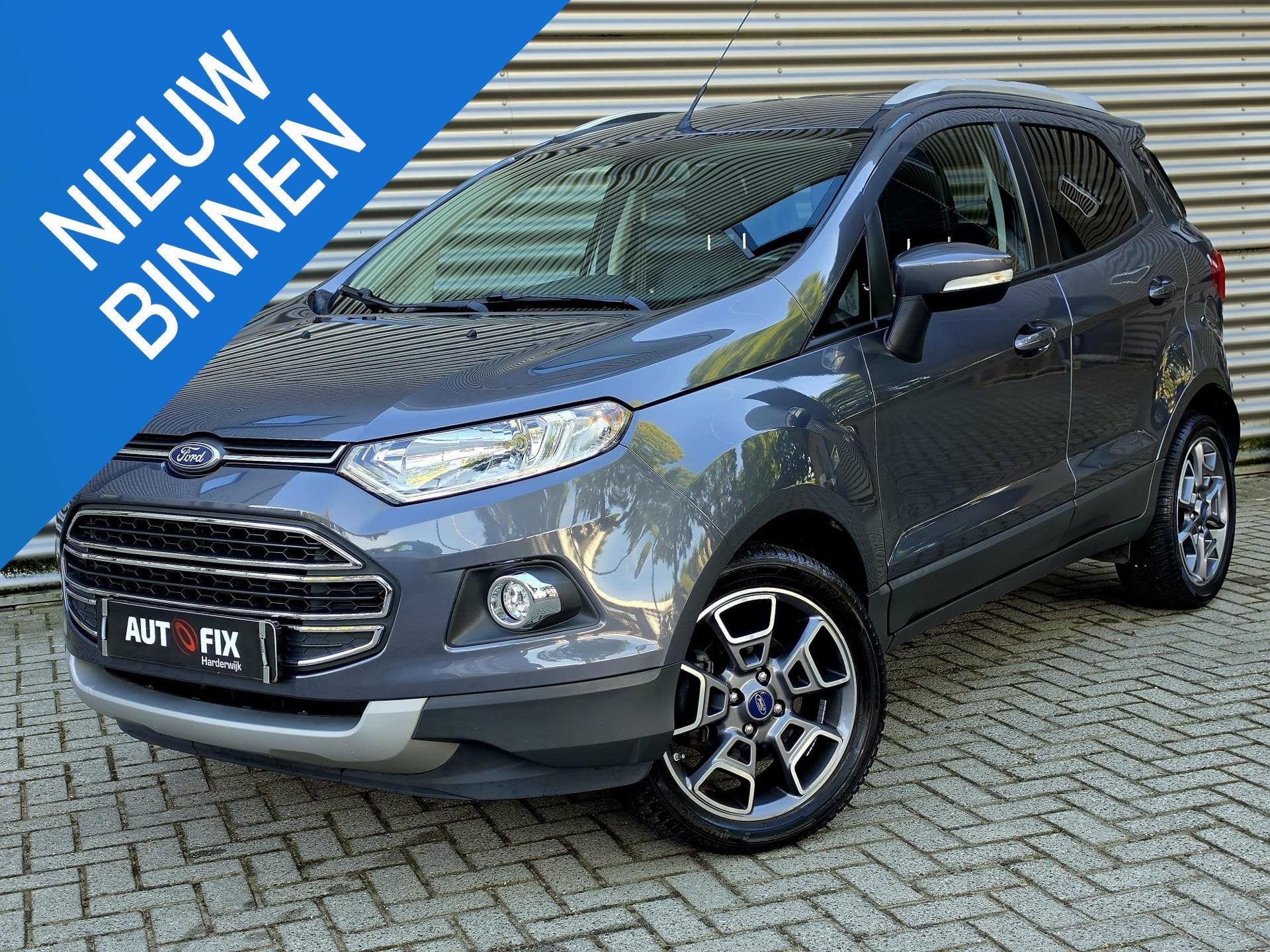 Ford EcoSport 1.0 EcoBoost Titanium / Nieuwe D-Riem / Stoelv, Auto's, Voorwielaandrijving, Gebruikt, Euro 6, Ecosport