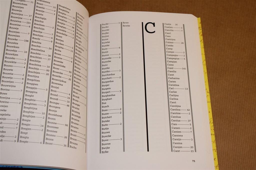 AlleGroningers Voornamen [1600-1811] — Nieuwstaat, Ophalen of Verzenden, Zo goed als nieuw